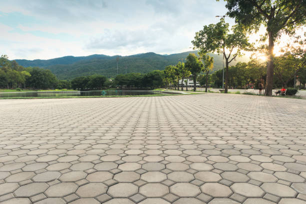 Best Residential Driveway Paver Services  in Walker Mill, MD